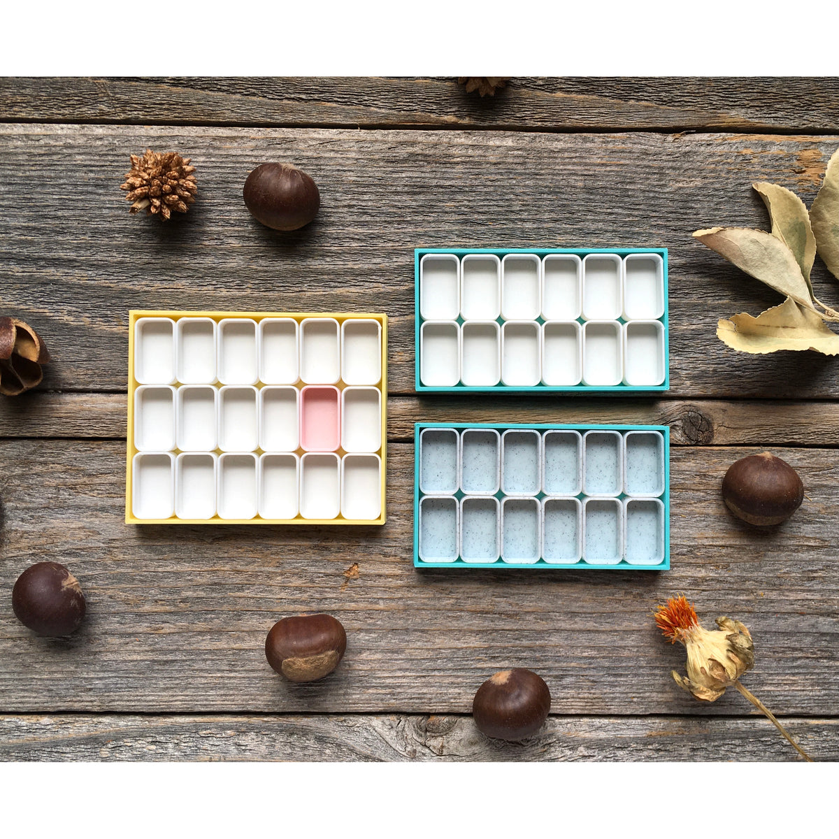 Bioplastic Boxes for Mini Pans (Empty) – poemsaboutyou