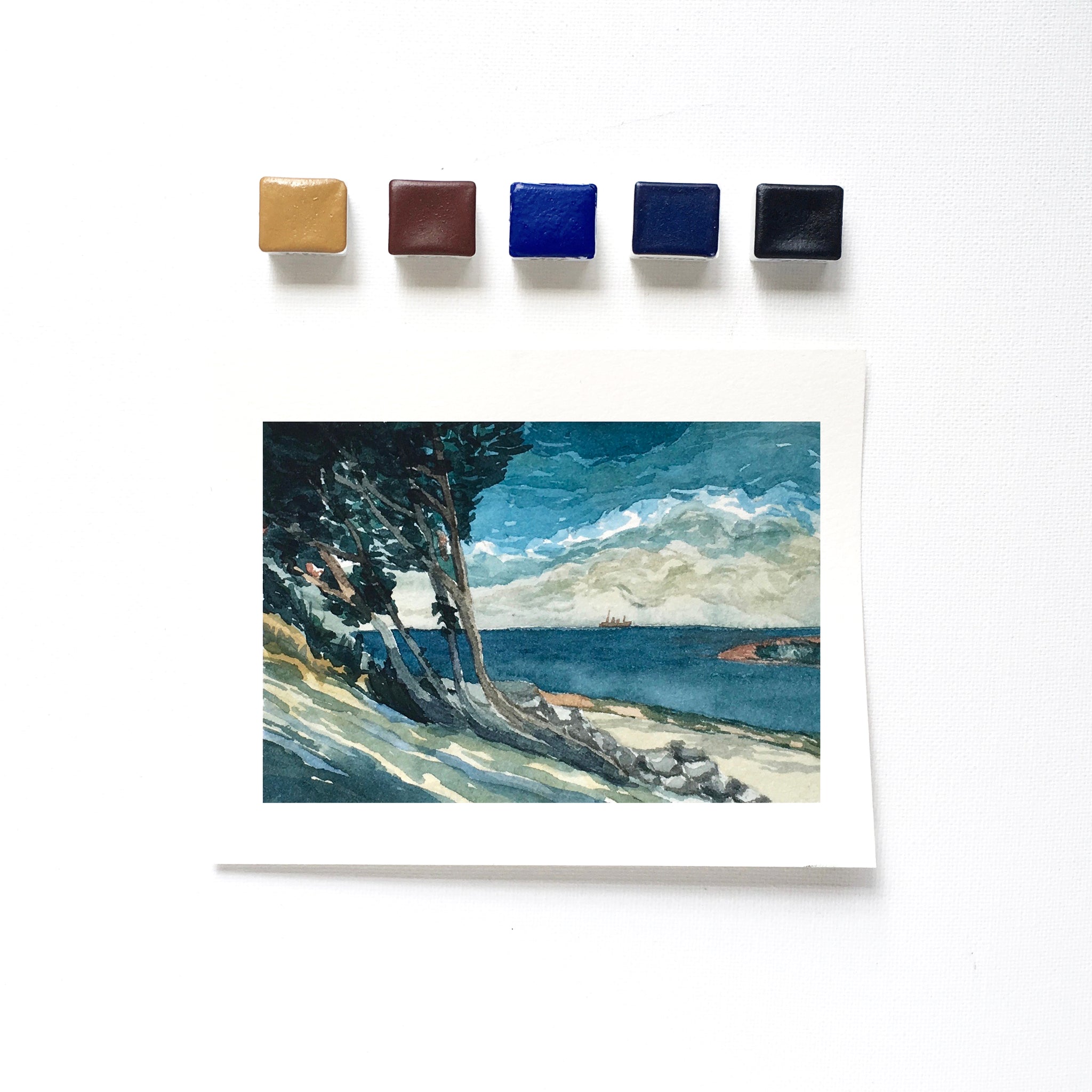 Winslow Homer's Set - 16 Color Set - Handmade Watercolors - Carmine, Celadonite, Red selling Lake, Indian Yellow